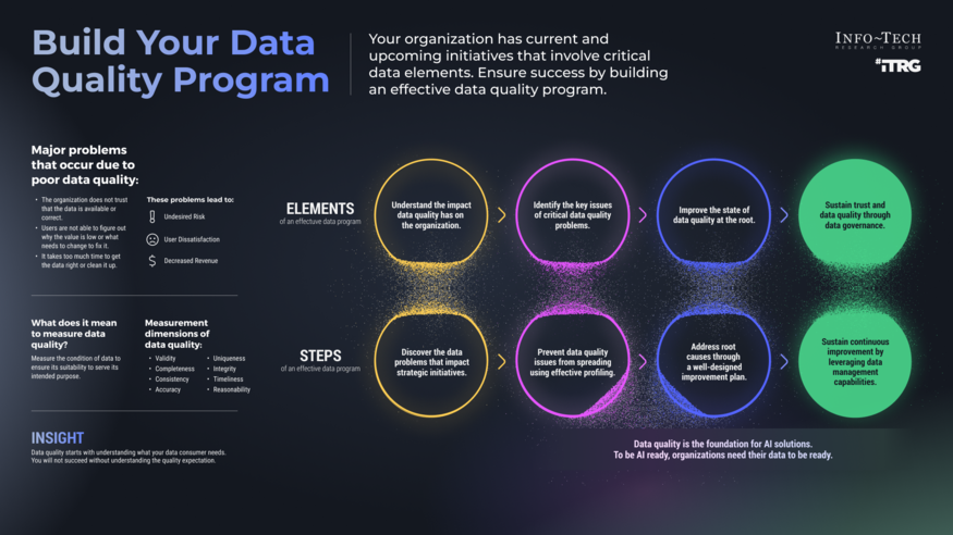 Build Your Data Quality Program visualization